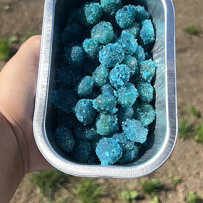 Sour Blue Razz Gushers 🍭