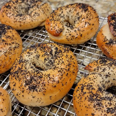 Sourdough Bagels