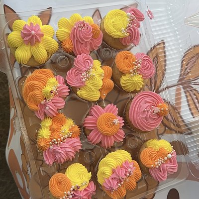 Dozen Cupcakes (12)