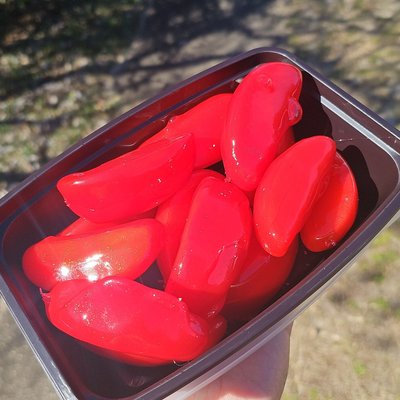 Apple Slices