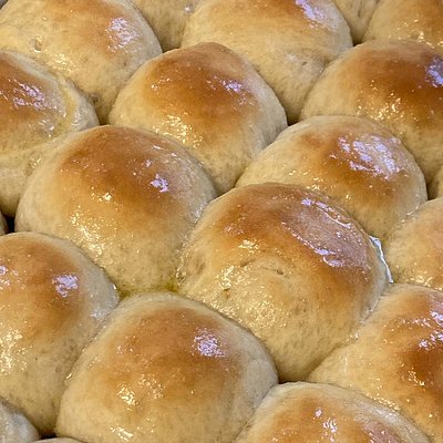 Honey Butter Dinner Rolls
