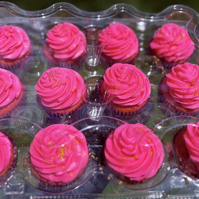 A Dozen Wishes 