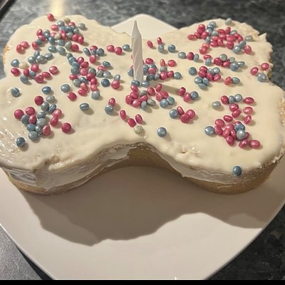 Puppy Dog Cake