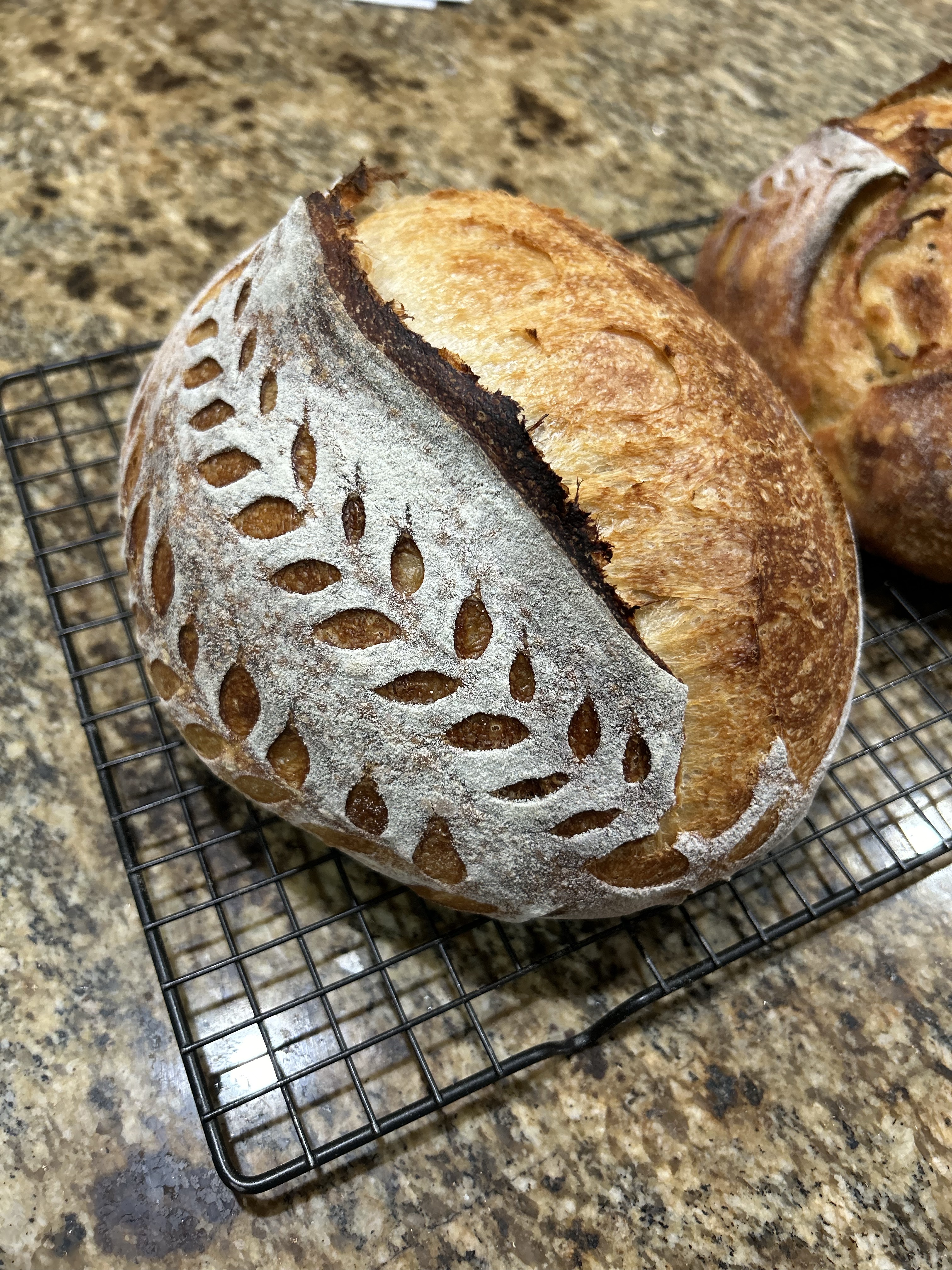 Plain Jane (original Loaf)