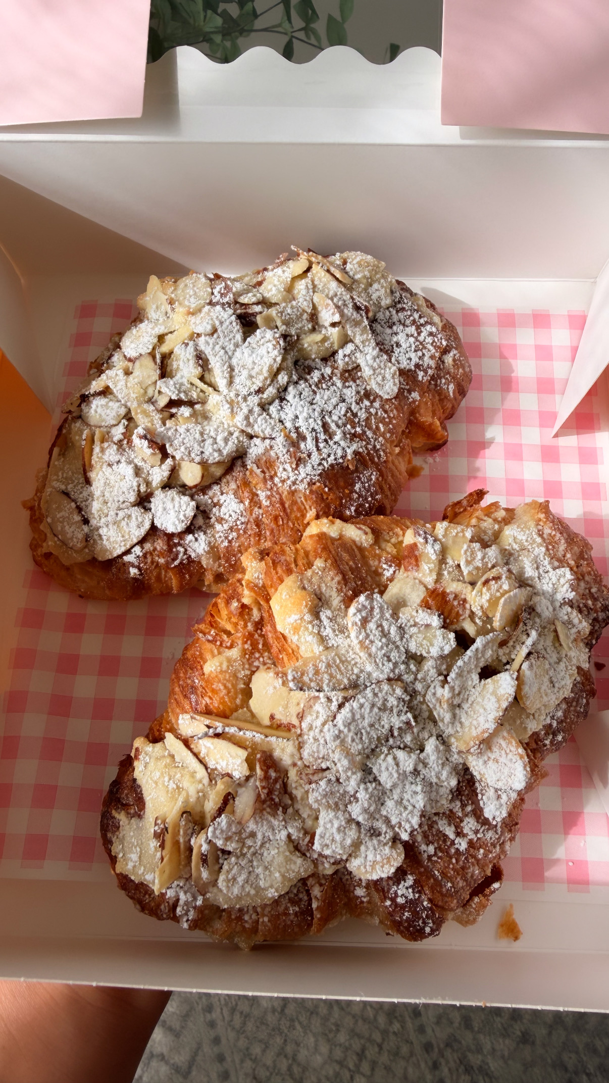 Almond Croissant (2) 
