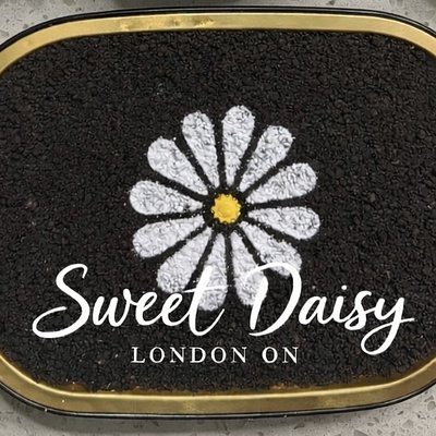 Oreo Cheesecake - Large (52oz)