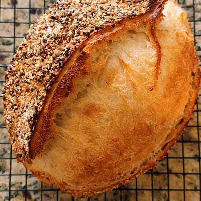 Everything Bagel Sourdough