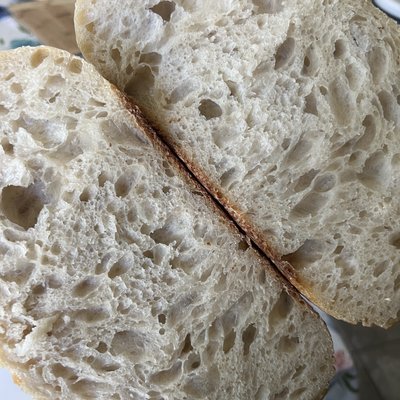 Plain Sourdough 