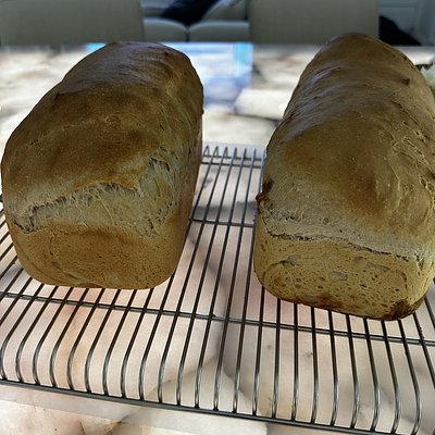 Sourdough Sandwich Loaf