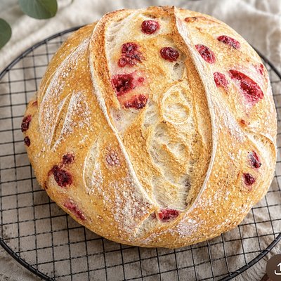 White Chocolate Raspberry Sourdough 