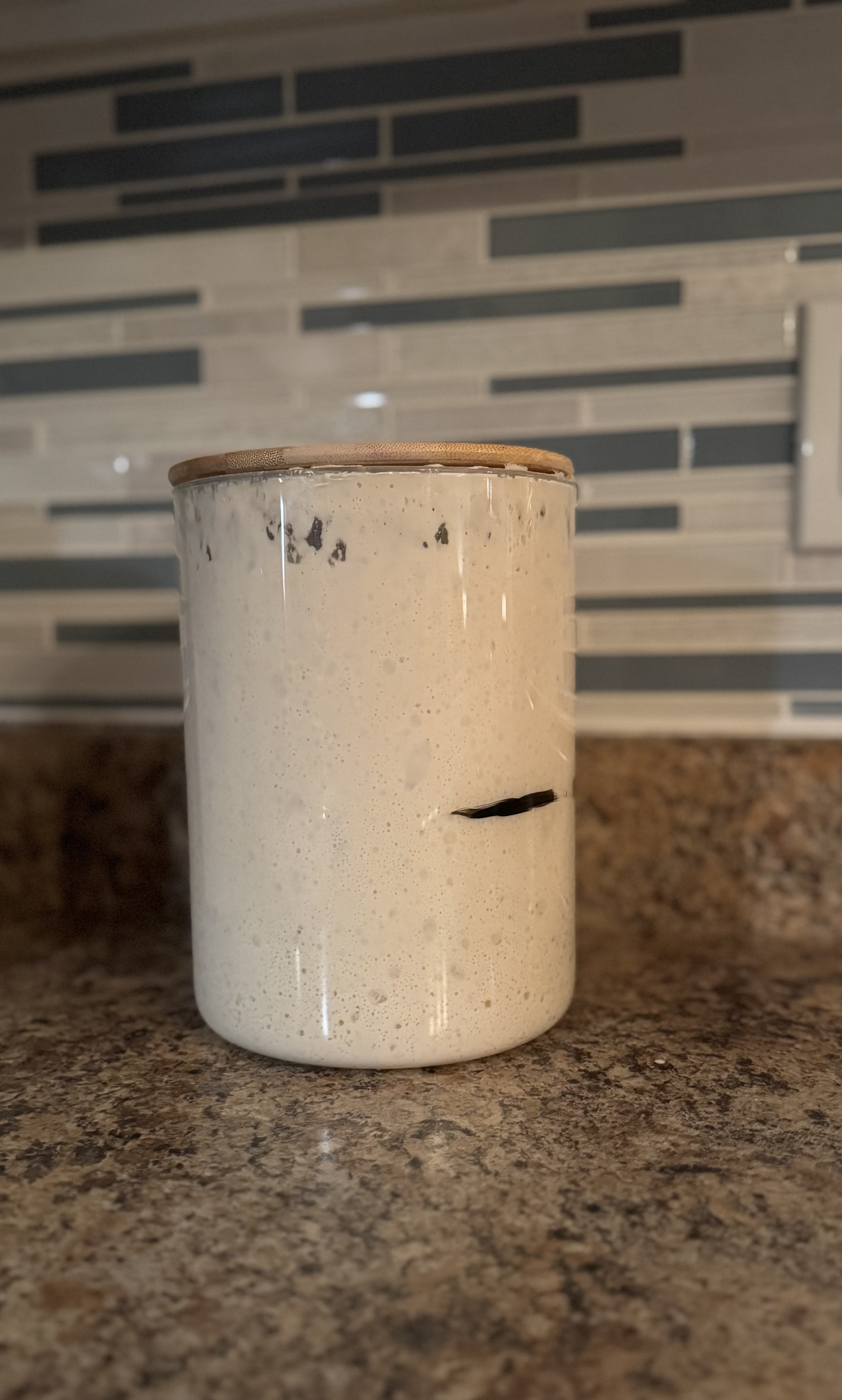Sourdough Starter