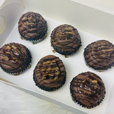 Chocolate Turtle Babes
