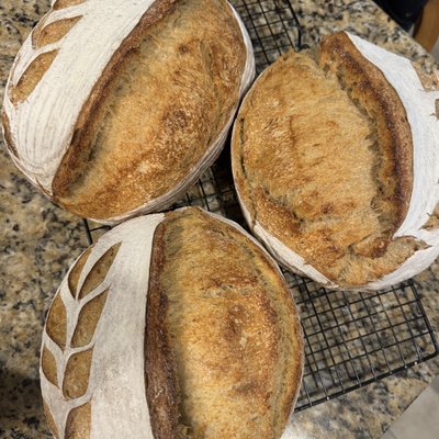 Organic Einkorn Artisan Sourdough 