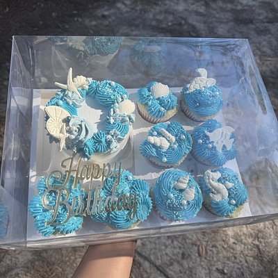 Bento Cake And Cupcakes Box 