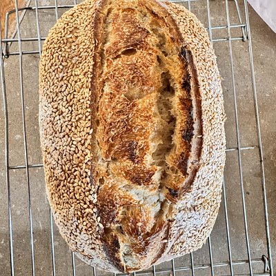 Sesame Sourdough