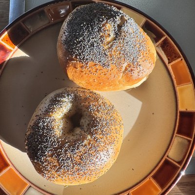 🫙Sourdough Poppy Seed Bagel Pack Of 6