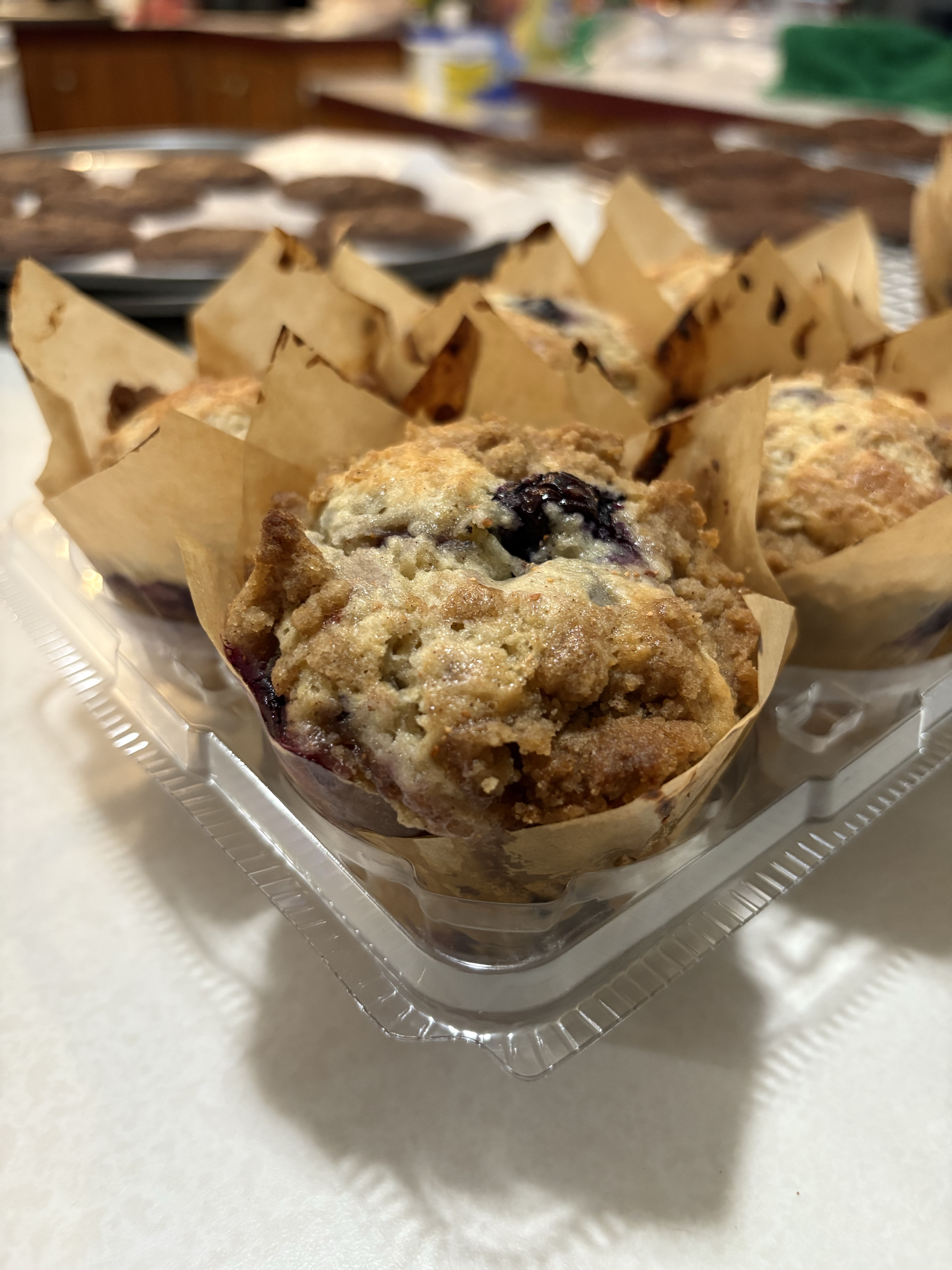 Blueberry Sourdough Muffins