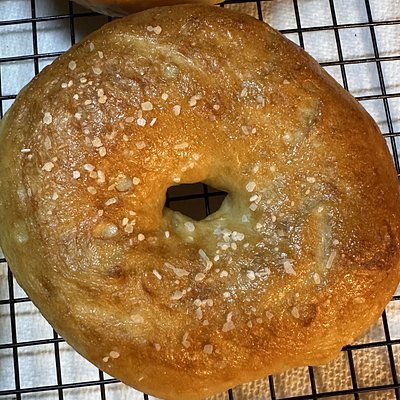 Plain Bagel (6 Pack)