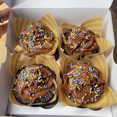 Sourdough Cupcakes 
