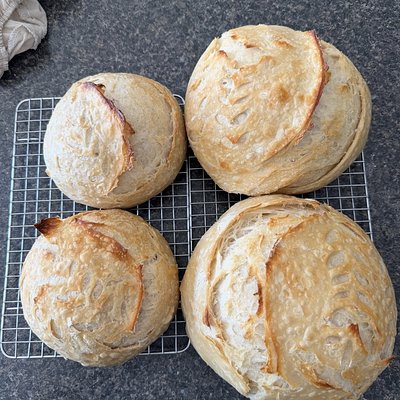 Sourdough Boule (plain) 
