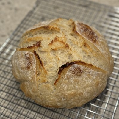 Sourdough Bread-Plain