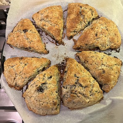 True Blue Crumb Scone