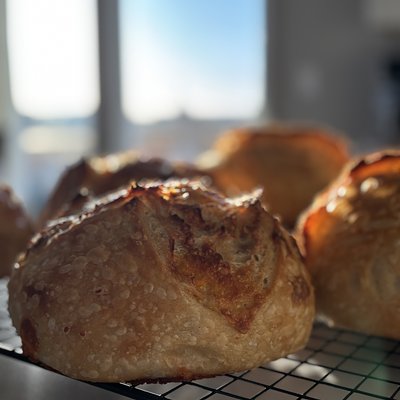 Three Cheese Blend Sourdough 