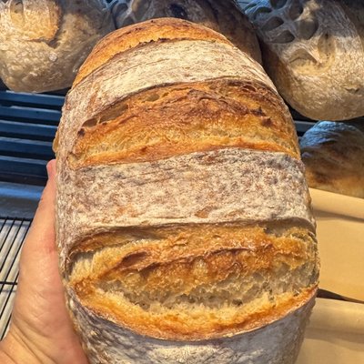 Honey Wheat Country Style Sourdough Batard