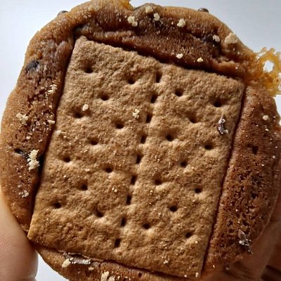 Smores Chocolate Chip Sourdough Cookie