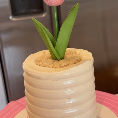 Tulip Cake