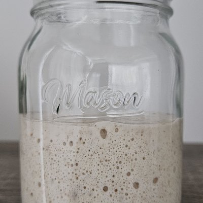 Sourdough Starter