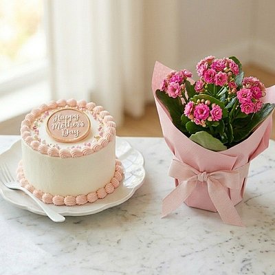 Mother's Day Potted Plant And Cake Gift Bag
