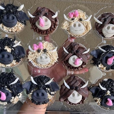 Custom Cupcakes (Topper, Fondant, Designs )
