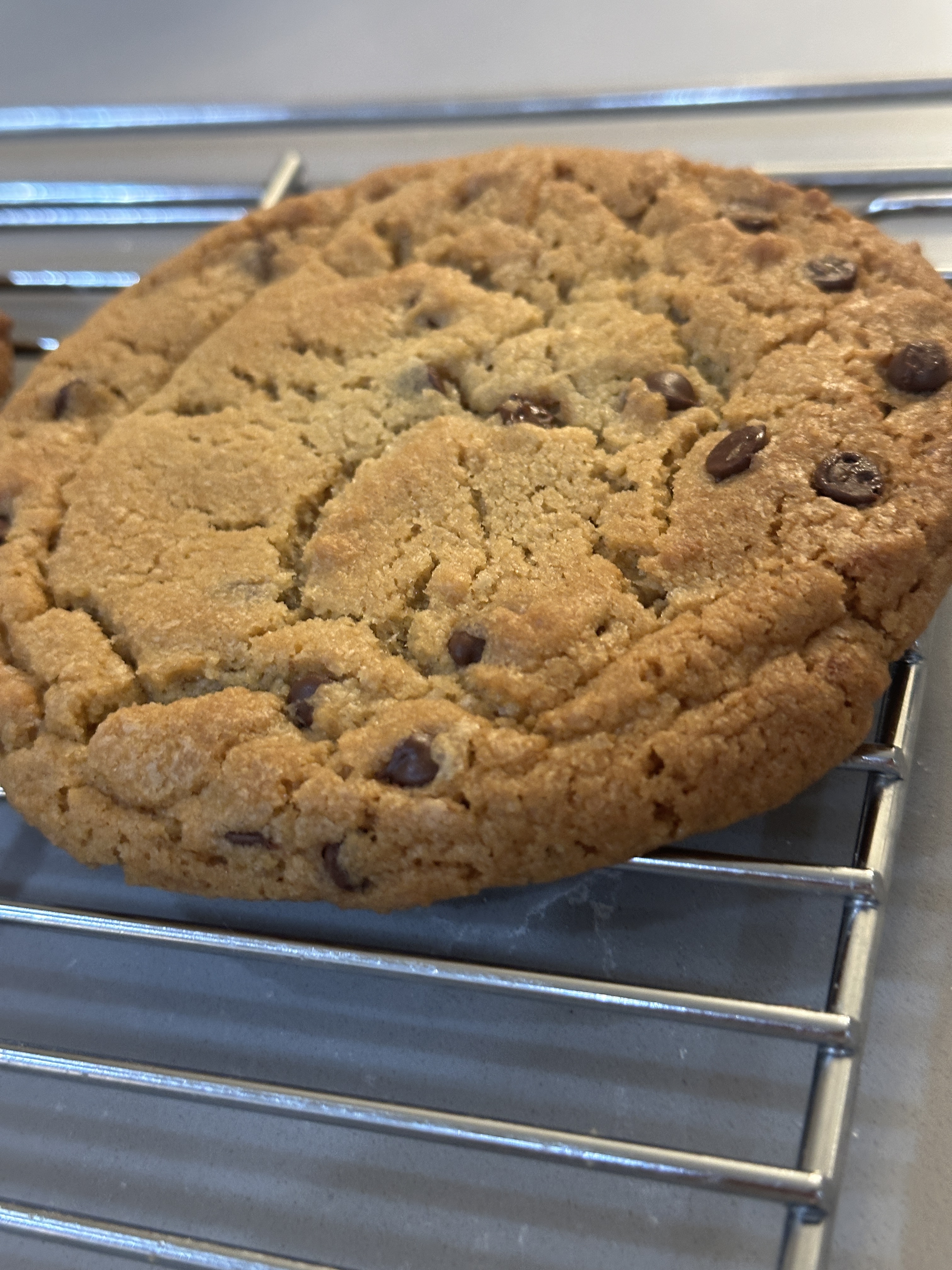 Individual Chocolate Chip Cookies 
