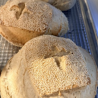 Sesame Semolina Sourdough Loaf