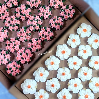 24 Mini Cupcake Box