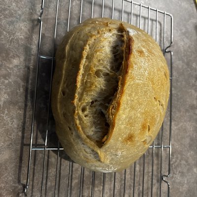 Sourdough Artisan Loaf