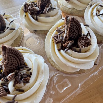 6-Pack Cupcakes Assorted Varieties 