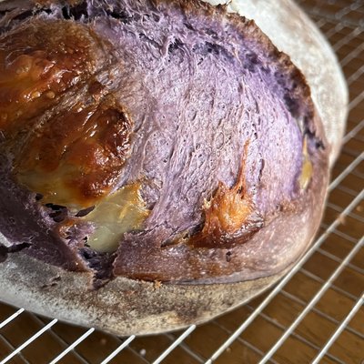 Ube Brie Sourdough