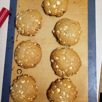 Sourdough White Chocolaye Macadamia Nut Dozen