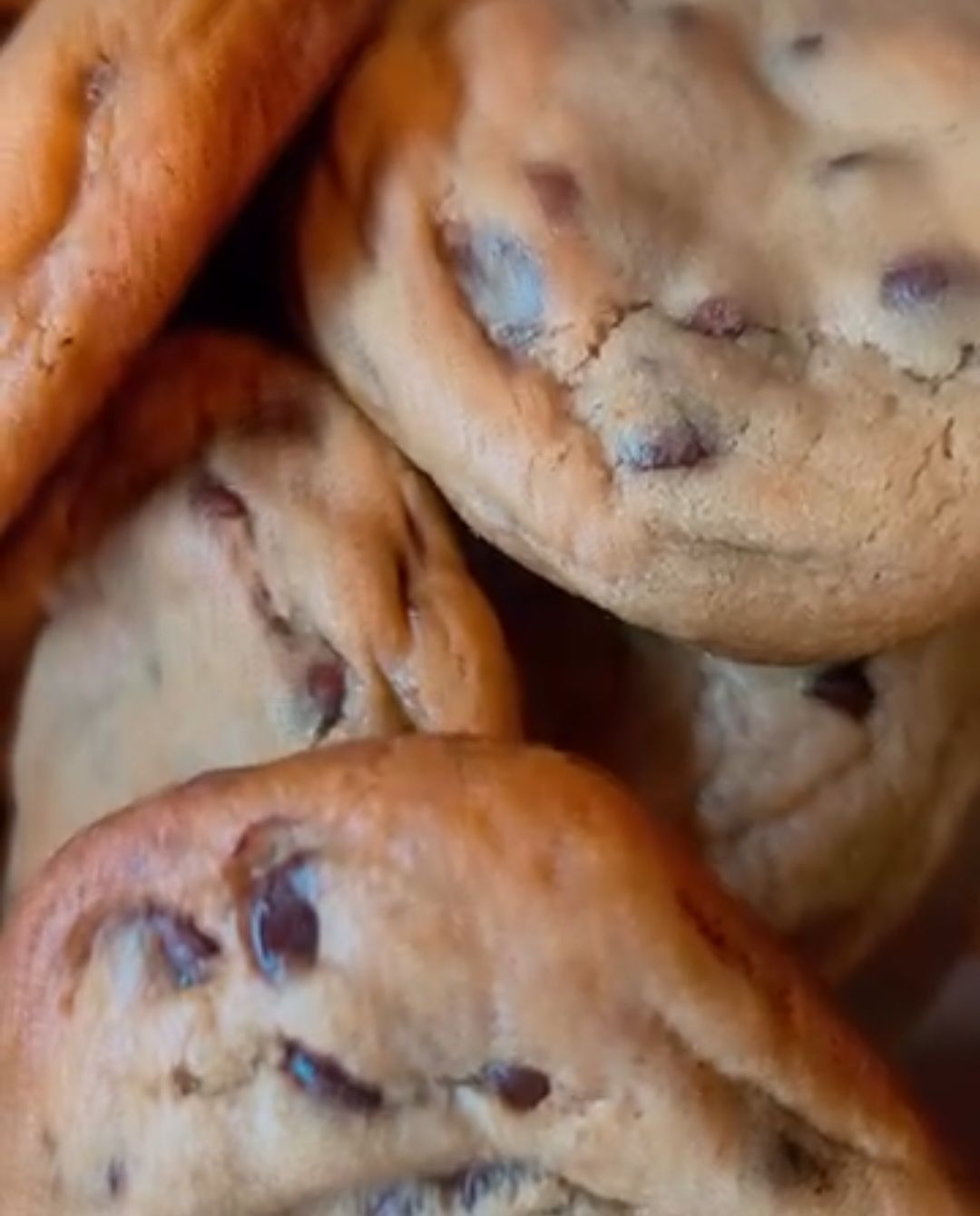 Chocolate Chip 