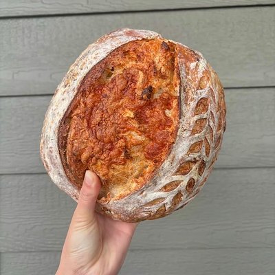 Cheddar & Green Onion 