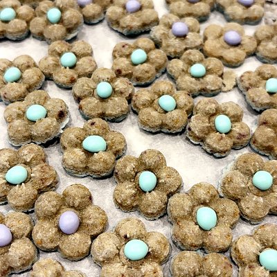  Flower Packs & Mini Treats 