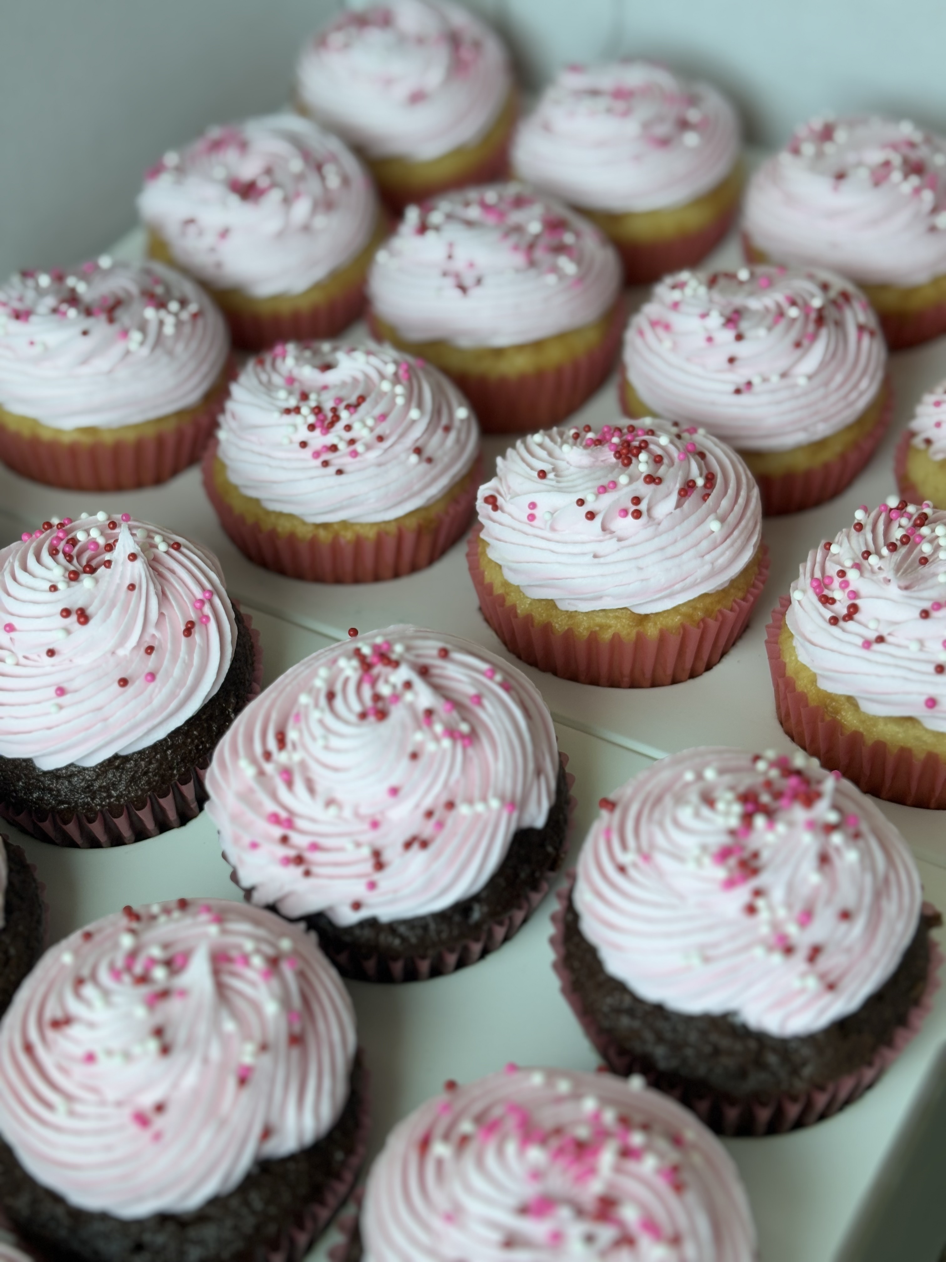Cupcakes 