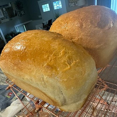 Fluffy White Sourdough Sandwich Bread 
