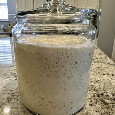 Sourdough Starter
