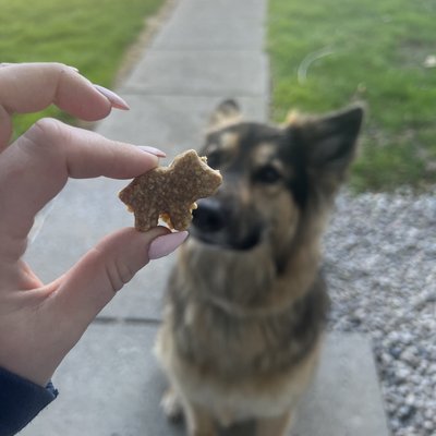 Organic Banana, Peanut Butter & Oat Dog Cookies - 12 pack