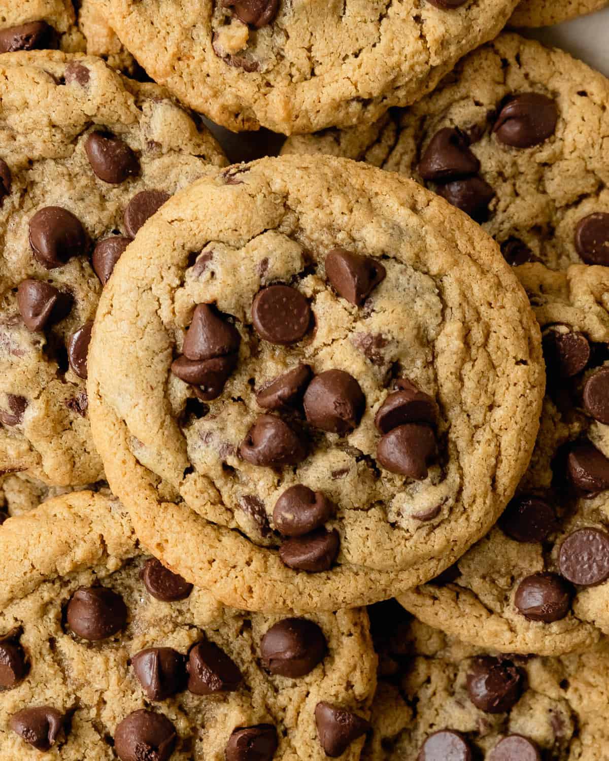 Chocolate Chip Cookies