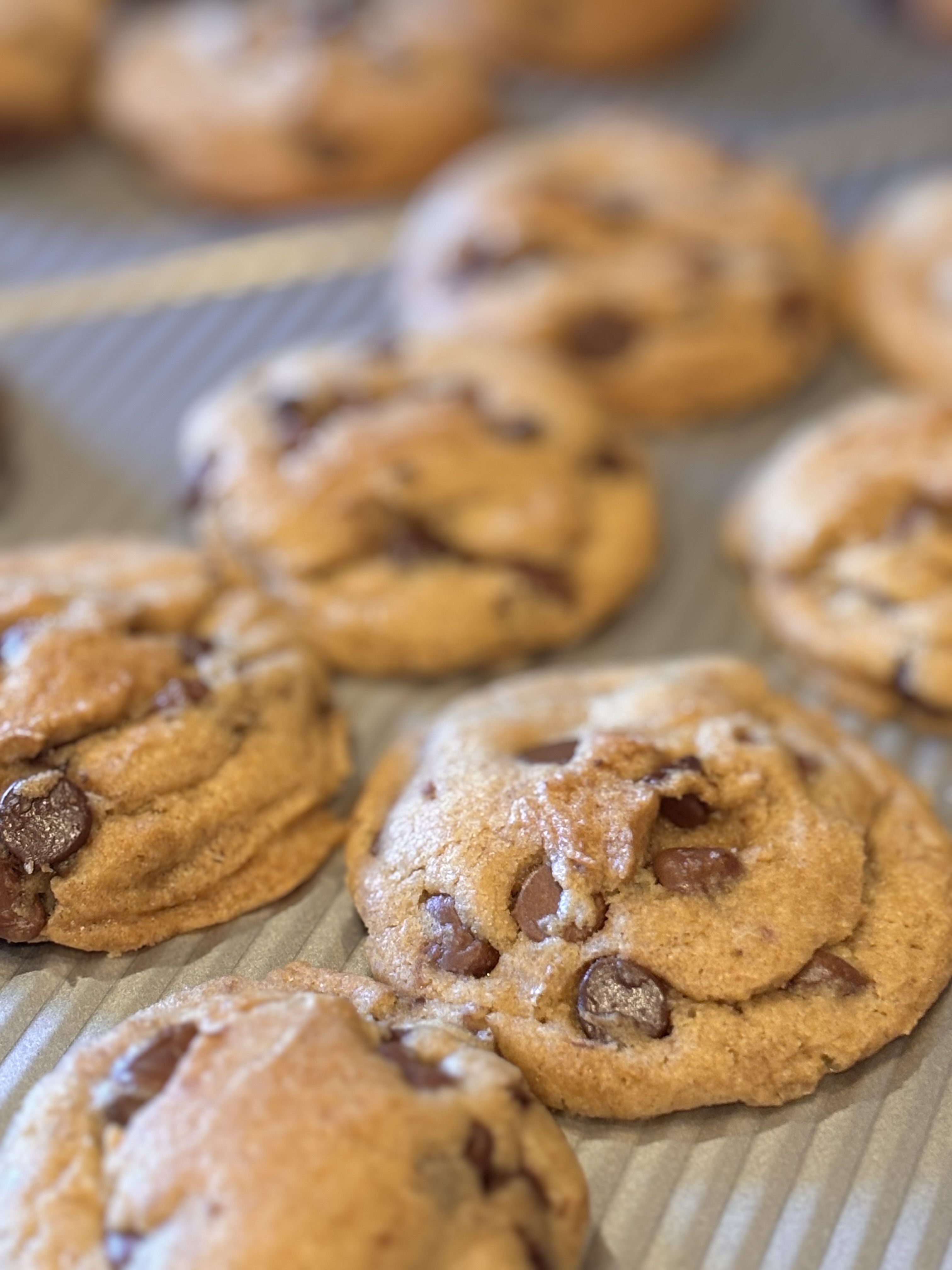 Sourdough Chocolate Chip Cookies