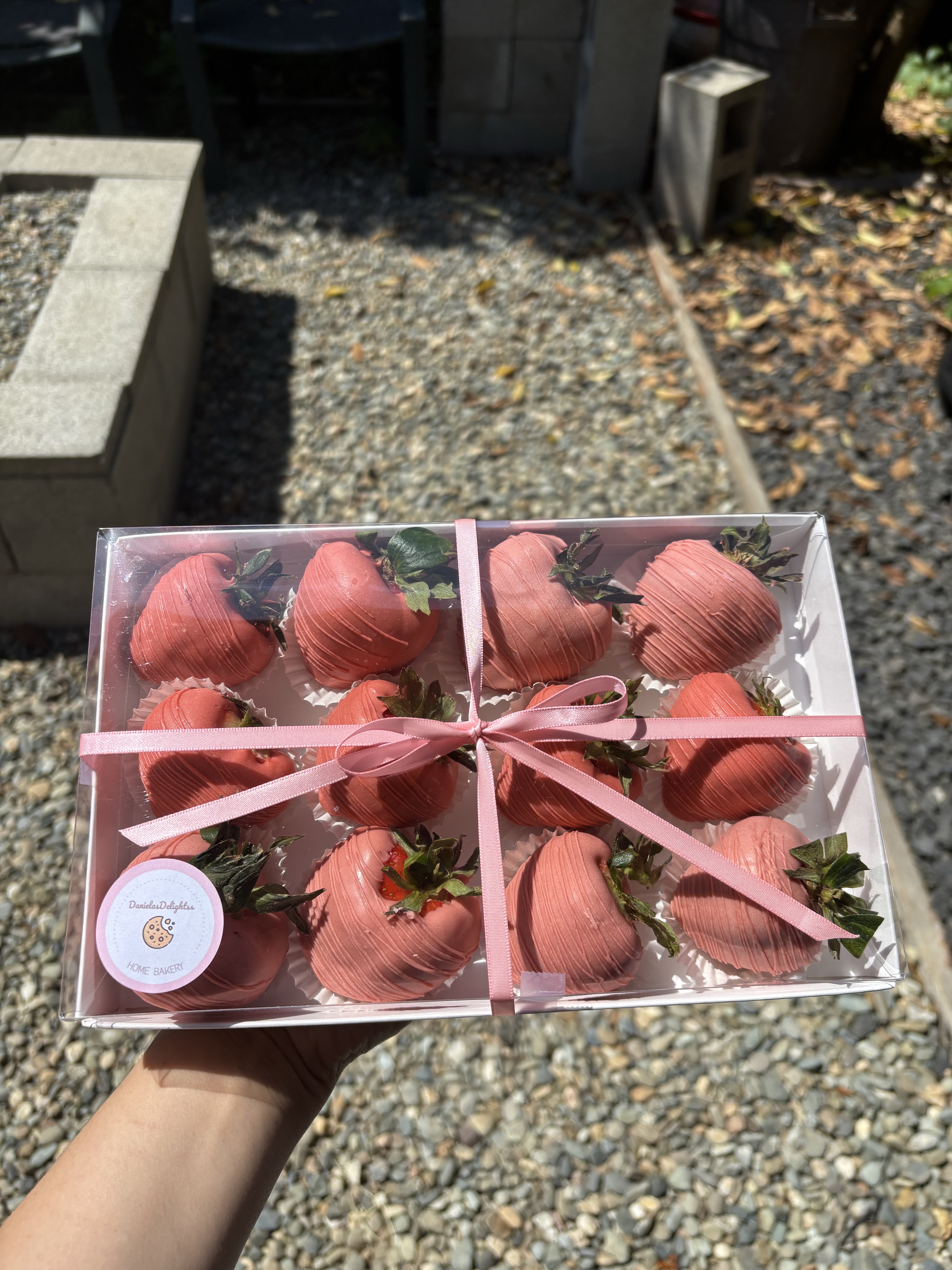 Chocolate covered Strawberries 
